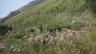 Sursa foto: Vyo Vyo/ Facebook