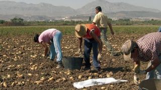 Canicula face ravagii in Romania! Doi barbati au murit in timp ce lucrau afara, iar un tanar de 28 de ani si-a dat ultima suflare in gara din Iasi