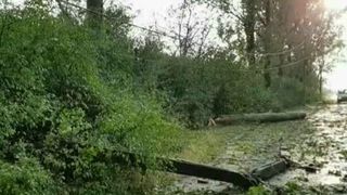 "Asta nu a fost furtuna, ci taifun, lua casele pe sus". Vijeliile au facut prapad in mai multe zone din tara