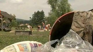 Fac gratare printre gunoaie si nu par deloc deranjati! Cine rastoarna tomberoanele pline ochi. Fac asta seara de seara