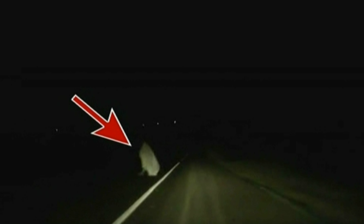 Adevarul despre fantoma din satul Pitulicea