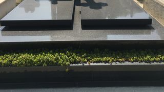 S-a sinucis, dar familia l-a iertat. Mormantul lui Dan Condrea este plin cu flori proaspete, iar o femeie e platita sa ingrijeasca saptamanal locul de veci