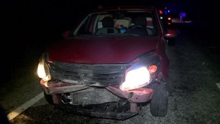 Sursa foto: padurarul.ro