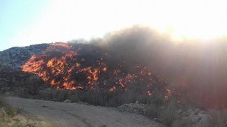 Incendiul de la groapa de gunoi a municipiului Bacau nu a fost stins nici dupa doua zile