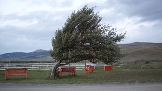 Cinci judete, sub avertizare cod galben de vant puternic