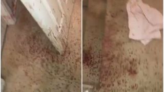Scene desprinse dintr-un film de groaza! S-au intors acasa si si-au gasit casa plina de sange. Ce s-a intamplat in lipsa lor