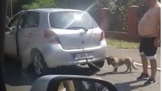 Imaginile care au revoltat internetul! Un barbat si-a legat catelul de masina si il taraste fara sa ii pese