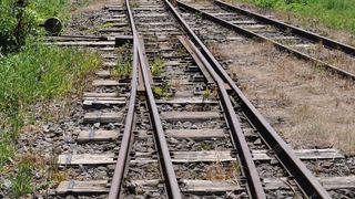 Mecanicul trenului implicat in accidentul de la Branesti: Femeia si copiii au iesit din padure si s-au aruncat direct in fata trenului