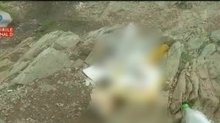 Ti se face greata! Uite ce au gasit cativa turisti pe Transfagarasan