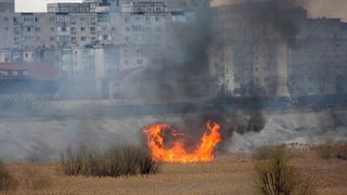 Incendiu de vegetatie in Delta Vacaresti din Capitala