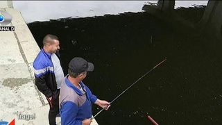 Pasajul peste Dambovita devine SF. Au inceput lucrarile in 2010 si data de finalizare era 2012. Ce spun autoritatile responsabile, la 5 ani peste termenul limita al constructiei?