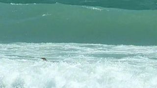 Un tanar din Bucuresti a murit inecat la Mamaia