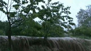 ISU Bucuresti-Ilfov: Opt curti inundate, cinci copaci cazuti pe carosabil si un autoturism blocat in apa, in urma furtunii