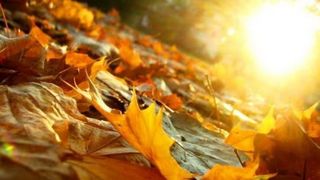 Prognoza meteo pe trei luni. Va fi o toamna cu temperaturi de vara