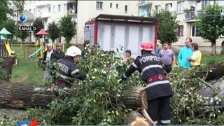 Furtunile devastatoare au lasat un bilant crunt: un om a murit strivit de un copac si o femeie se zbate intre viata si moarte