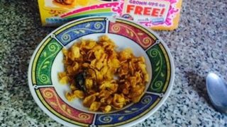 A vrut sa ii faca micul dejun nepotului, dar cand a turnat cearelele a ramas masca: „Puteam sa il omor!” Ce se afla inauntru