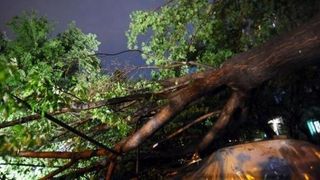 Vreme extrema si in judetele Caras-Severin si Arad. O persoana a murit la Arad