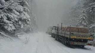 Cand va cadea prima ninsoare. Meteorologii au anuntat prognoza meteo pentru iarna aceasta