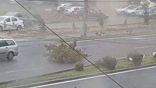 Avertizare ANM: Furtunile din vestul tarii vor cuprinde toata tara, de marti, cand si temperaturile vor scadea semnificativ