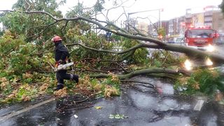 El e primarul roman care cere numerele de telefon ale cetatenilor ca sa ii informeze despre furtuna