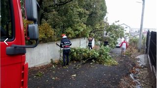Furtuna s-a dezlantuit in Arges. Strazile au fost inundate, iar zeci de copaci au fost pusi la pamant