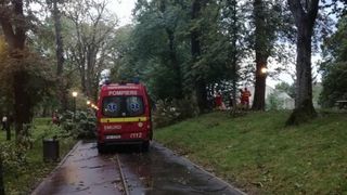 Vijeliile au facut primele victime: Doi barbati au murit loviti de fulger in Vaslui