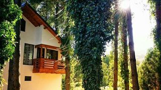 Ziduri pline de istorie si picturi vechi de sute de ani. Bisericile din satele curburii Subcarpatilor ar trebui puse pe lista locurilor de vizitat de orice roman