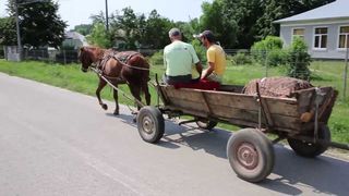 Un copil de doi ani a murit dupa ce a cazut dintr-o caruta