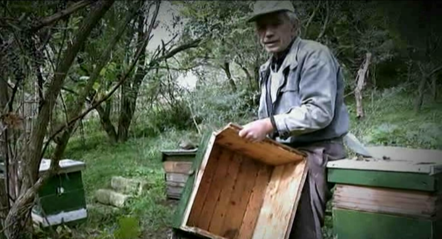 Locuitorii dintr-un sat din Sibiu, terorizati noapte de noapte de un "criminal" nevazut