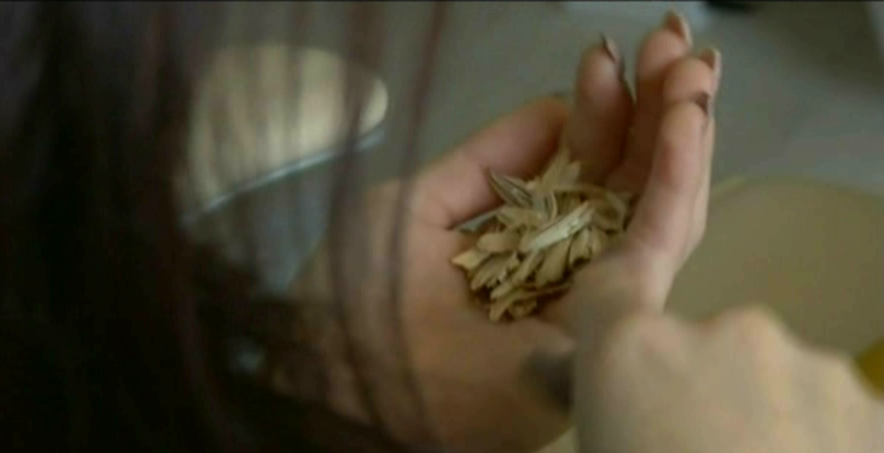 Reactia medicului ginecolog acuzat ca manca seminte in timpul unui consult: "Eu nu stiu ce vazut doamna, dar a vazut gresit&rdquo;