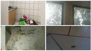 Este dezastru in caminele de stat din capitala! Gandacii misuna peste tot, mirosul de igrasie iti taie respiratia, iar mizeria troneaza.