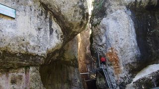 Un barbat a murit la Canionul 7 Scari dupa ce un copac a cazut peste el