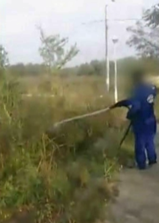 "Dorel" loveste din nou! Iata ce a mai facut de aceasta data