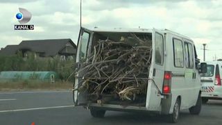 Au facut curat in padure, dar au fost opriti de politisti! Ce au descoperit oamenii legii!
