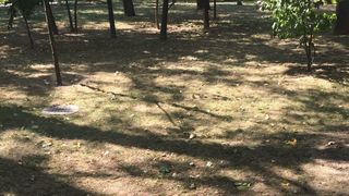 Gazonul a murit, desi autoritatile au achizitionat sisteme moderne de irigatii