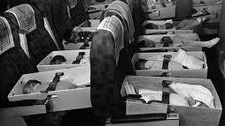 Peste 2.500 de copii, pusi in cutii si transportati cu avionul. Ce s-a intamplat cu ei peste numai cateva ore e incredibil