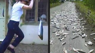 Fenomen inexplicabil - A plouat cu pesti intr-o localitate situata pe coasta - Oamenii sunt terifiati de acest lucru - Imagini cu ploaia ciudata