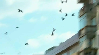 Sunete infricosatoare rasuna in centrul Constantei! Oamenii nu stiu ce se intampla de cateva zile la ei in oras - Ce exercitii fac autoritatile si de ce?