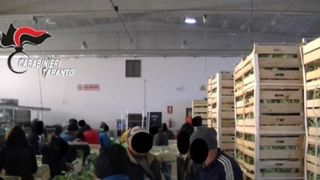 Un nou caz de sclavie in Italia! 35 de romani au fost eliberati de politisti. Traiau in conditii inumane si munceau si pana la 17 ore pe zi