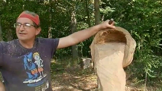 Povestea omului din Craiova care le da chip copacilor. E impresionat cum transforma arborii uscati