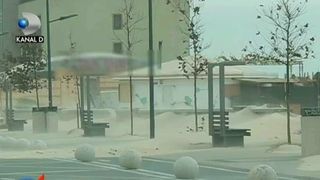 Furtuna a pus stapanire pe judetul Constanta. La Eforie Nord, vantul puternic a doborat un copac direct peste o masina parcata in fata unei locuinte.