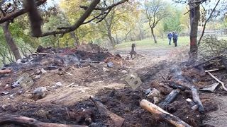 Crima misterioasa in Bistrita-Nasaud. Tanar de 23 de ani, cautat de politisti dupa ce ar fi ucis un batran de 82 de ani