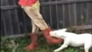 Personajul celebru din viralul "Cristi, ba, Cristi" a ajuns pe mainile politiei