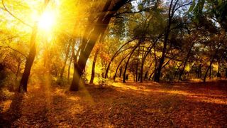 Cum va fi vremea in urmatoarele zile? Ne asteapta temperaturi de vara si va fi din ce in ce mai cald - Temperaturile vor ajunde si pana la 28 de grade