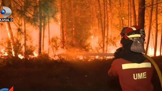 Doliu national. Peste 60 de persoane au murit in urma incendiilor de vegetatie din Spania si Portugalia - Peisajul este apocaliptic