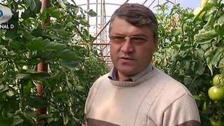 Un agricultor din Olt a dat lovitura: "Sunt polenizate cu bondari, nu chimic, am mers pe substanta mai mult bio"
