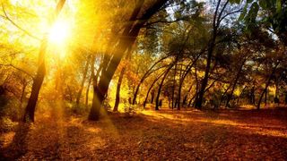 Temperaturi surpriza in weekend! Meteorologii anunta vreme uimitoare pentru sfarsitul saptamanii