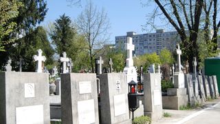 Aleea Comunistilor (Credit foto: Stefan Teris)