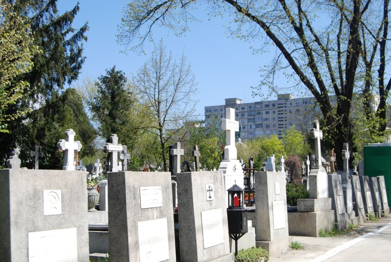 Aleea Comunistilor (Credit foto: Stefan Teris)