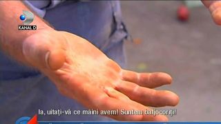 Batranii de la tara au ajuns bataia de joc a autoritatilor! Cum se chinuie sa scoata cativa leuti pe legumele pe care le-au muncit toata vara